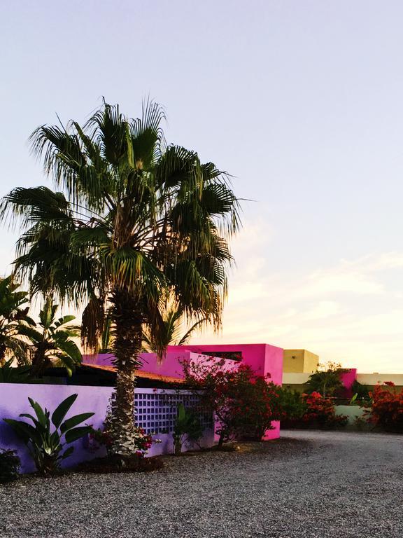 The Hotelito Todos Santos Exterior photo